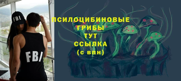 эйфоретик Новозыбков
