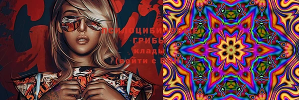 бутират Туринск