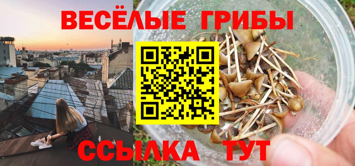 Псилоцибиновые грибы мухоморы Старый Оскол