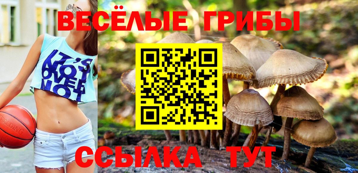 Гашиш  Вход с VPN  НБОМе  COCAIN  Мяу-Мяу  Альфа-ПВП  Кетыч  Конопля  Старый Оскол  Гарик 