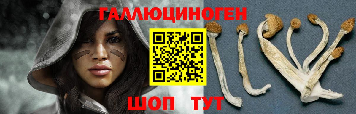 Старый Оскол  Галлюциногенные грибы Magic Shrooms  Вход с VPN 