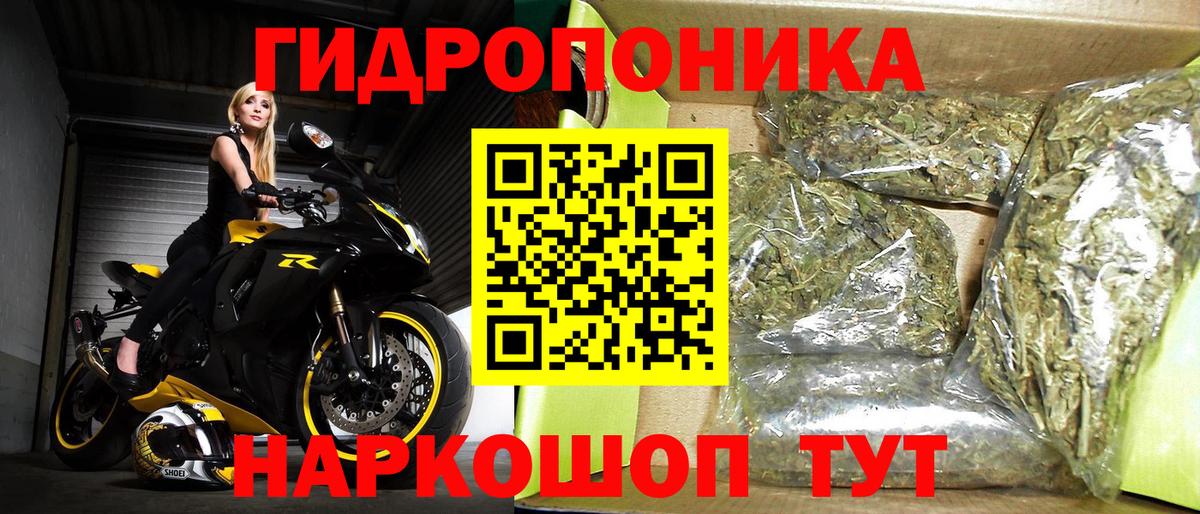 Марихуана Bruce Banner  Марихуана план  Каннабис гибрид  Канабис конопля  Старый Оскол 